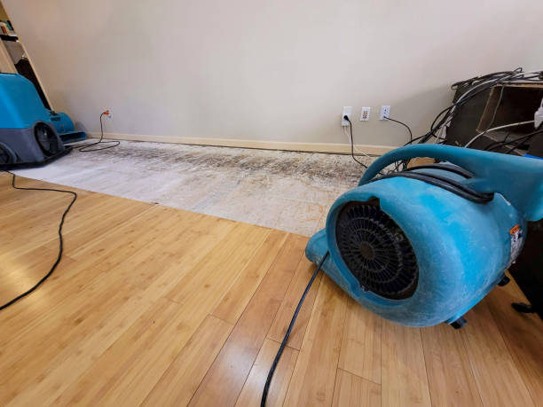 Professional Water Damage Repair technician working in Chewelah, WA
